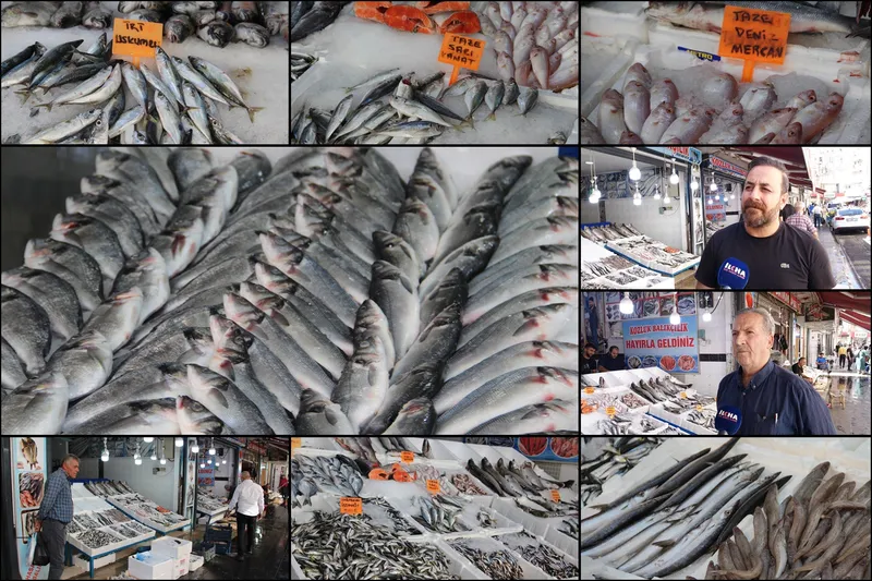 Balıkçılarda çeşit artınca vatandaşın talebi de arttı