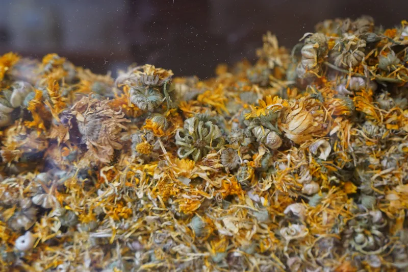 Üç kuşaktır nesilden nesile aktarılan şifa 