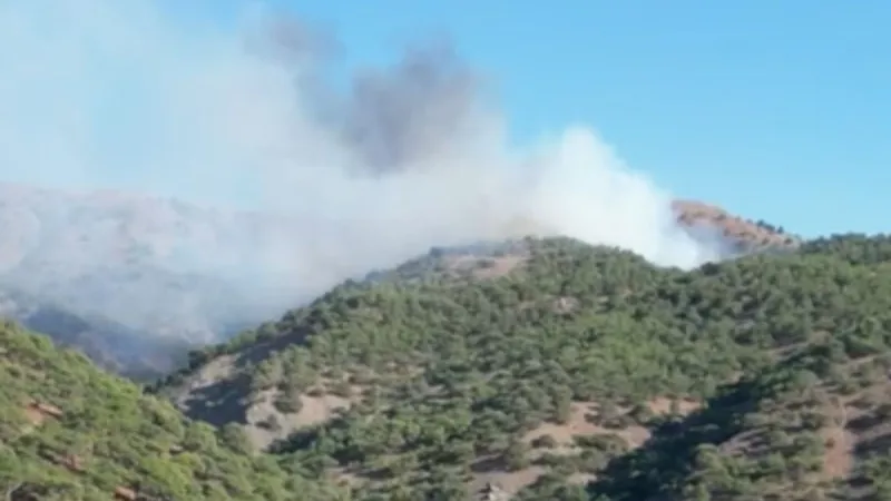 Uzunköy Çirkin Deresi mevkiinde çıkan yangın devam ediyor  - Videolu Haber