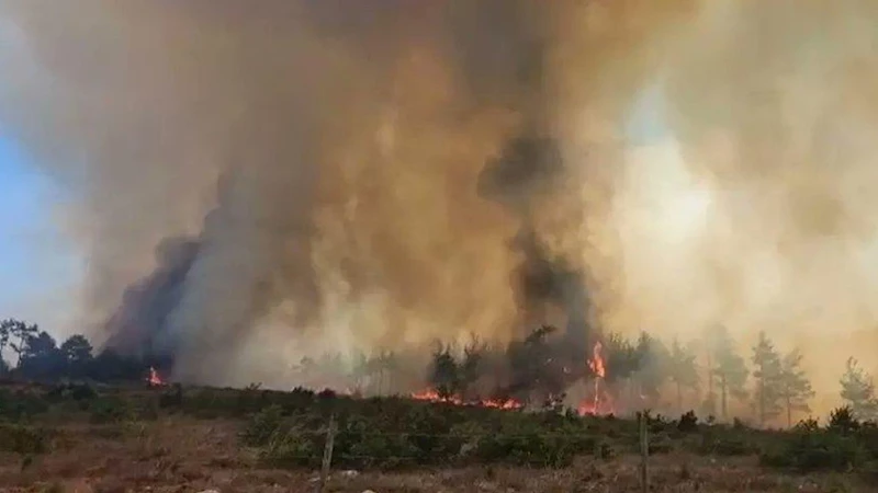 Düzce Yığılca’da orman yangını: Müdahale devam ediyor