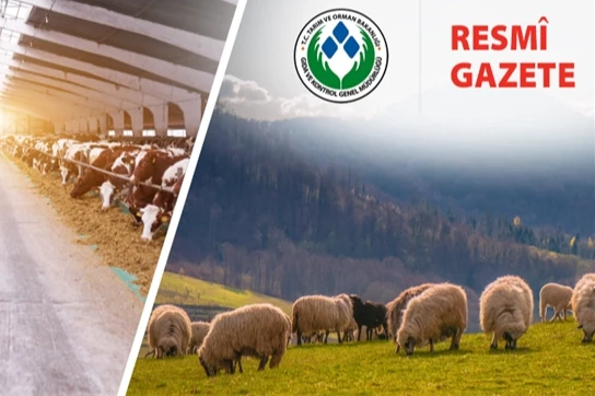 Koyun ve Keçi Yönetmeliği