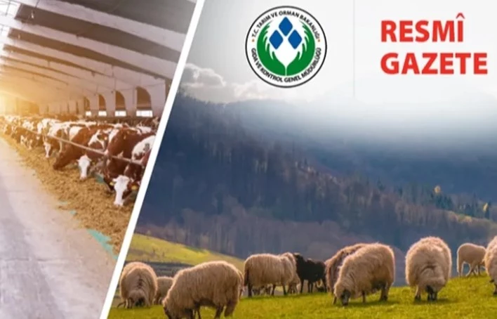 Koyun ve Keçi Yönetmeliği Güncellendi: Taahhütname Uygulaması Kaldırıldı