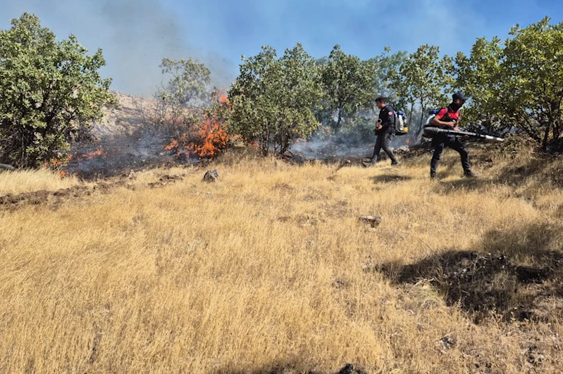 Mardin’de  ormanlık alanda çıkan yangın 3 saatte kontrol altına alındı