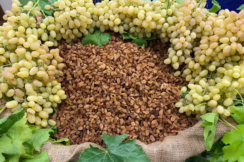 Çekirdeksiz ihracatta Türkiye 