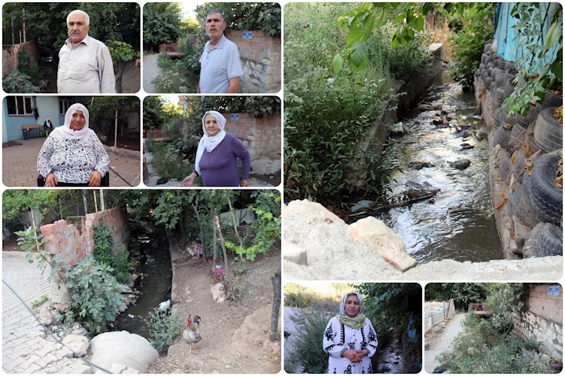 Kanal mikrop saçıyor: 