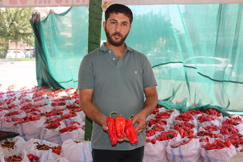 Şanlıurfa’da isot sezonuyla damlar yeniden kırmızıya büründü